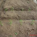 도현이네 농장 이미지