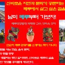 오늘의 띠별 운세, 2023년 10월 23일(월)…막대한 보물이 멀지 않습니다 이미지