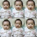 이주하 Daum카페