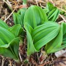 새순1농장 이미지