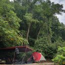 내린천솔밭힐링캠핑장 이미지