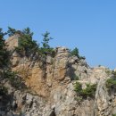 주문진회집 이미지