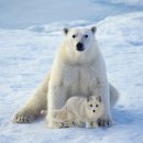 여우 PC방 이미지