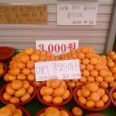 일심양꼬치점 | 11월과 12월, 겨울밤도 끝내 꿈을 꾸어요