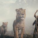 라이온킹 이미지