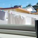 속초휘테 이미지