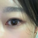 안경나라(금천현대)위드렌즈 이미지