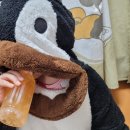 코코팜 | 슈가로로 코코제로 복숭아 &amp; 요구르트 후기! 코코팜 제로 칼로리?