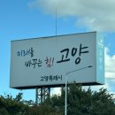 묘생역전 | 2025 궁디팡팡 캣페스타 일산 킨텍스 방문 후기(사전등록, 라인업, 주차, 맛집 등)