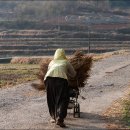 눈뜨면바다 이미지