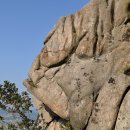 우럭한마리 이미지