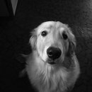 말랑말랑 이미지