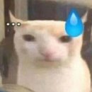 꼬마 그림작가 A반 | 🇪🇸톨레도 당일치기 &amp; 꼬마기차 후기 🚂 (+마드리드)