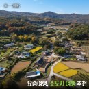 고흥종합관광안내소 | 11월 요즘여행 남해 외갓집, 동해 묵호 항구 소도시여행, 예산 슬로시티 대흥, 고흥 스테이, 담양 창평마을