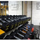 바디스쿨 이미지