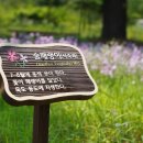 영남대학교 자연박물관 이미지