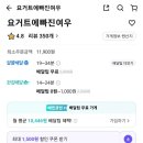 스키니폭스요거트에빠진여우