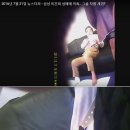 너네 삼성 이건희 못걸어다닐때 성매매 여성들 집으로 부른건 알아? 이미지