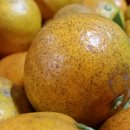 이혁농장 이미지