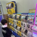 팡팡배틀존 이미지