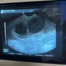 수성 메트로 동물병원 이미지