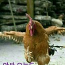 삼흥공구전기 이미지