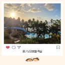 로얄카프라자 | 괌 호텔 아기랑 숙소 닛코호텔 객실편, 내돈내산 솔직후기