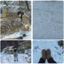 씨알농장 이미지