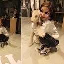 테리몽하우스 이미지