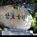 산호동247 이미지