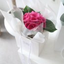 스튜디오지담 이미지