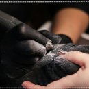 네일후에 이미지