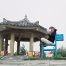 효행초등학교 | [올레길 추자도18-1코스]두 개 코스 당일로 가능할까?/소요시간/맛집/길안내/난이도/날씨