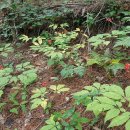 성의농장 이미지