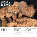 윤효경농장 네이버블로그