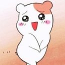 일다(ILLDA)