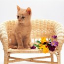 민락동물병원 이미지