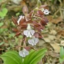 보성꽃식물원 이미지