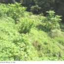 대곡3리 마을회관 이미지