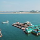 와따좌대낚시터 이미지