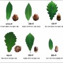 상천리보건진료소 네이버블로그