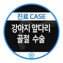 강동24시SKY 동물병원 이미지