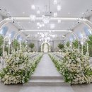 가로수 | 용인 솔스퀘어 본식 DVD 가로수필름 계약 후기 | 추천인코드O