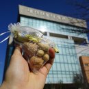 전통나래관 앞 이미지