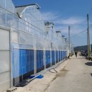 중천농장 이미지