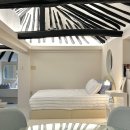 파파어부 이미지