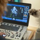 라온 동물 메디컬센터 이미지