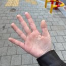 이니픽스네트웍스 | [일상] 해외여행 후 먹부림 일상(을지로 데일리픽스 후기)