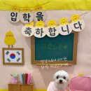 마인드몽 유치원 이미지