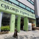 [인천 구월동] 클로리스 플라워, 카페 를 💐(CHLORIS FLOWER, CAFE) 음료 및 디저트 후기